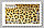 Le pelage du léopard sur le timbre de 2024