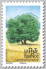 Image du timbre Charme - Carpinus betulus