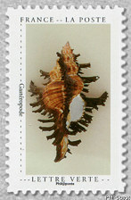 Image du timbre Gastéropode