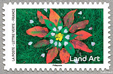 Land art (feuilles en forme de fleurs vertes et rouges)