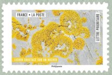 Image du timbre Lichen crustacé sur un rocher