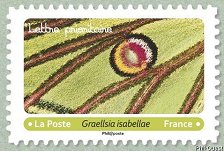 Image du timbre Graellsia isabellae