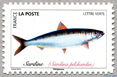 Image du timbre Sardine  Sardina pilchardus