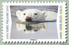 Image du timbre Ours polaire