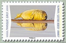 Image du timbre Phoque gris