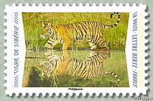 Image du timbre Tigre de Sibérie