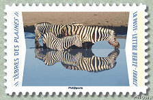 Image du timbre Zèbres des plaines