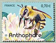 Image du timbre Anthophore