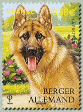 Image du timbre Berger allemand