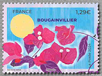 Image du timbre Bougainvillier