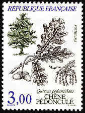 Image du timbre Chêne pédonculé - quercus pedunculata