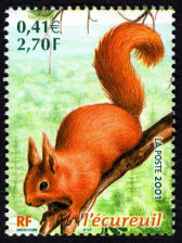 Image du timbre L'écureuil