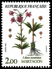 Image du timbre Martagon - Lilium montanum