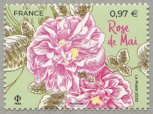 Image du timbre Rose de Mai