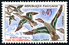 Image du timbre La Sarcelle - Étude des migrationsMuseum de Paris