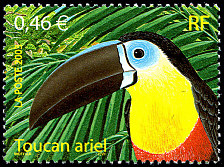 Image du timbre Toucan ariel