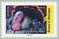 Image du timbre Dindon  - Bronzé d'Amérique