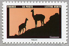 Image du timbre Guanacos