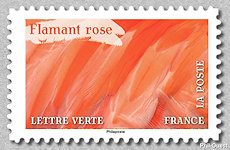 Image du timbre Flamant rose