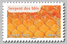 Image du timbre Serpent des blés