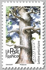 Image du timbre Chêne pédonculé - Quercus robur