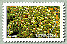 Image du timbre Dattes Espagne