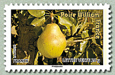 Image du timbre Poire William France