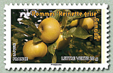 Image du timbre Pommes «Reinette grise» Canada