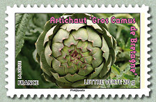 Image du timbre Artichaut 'Gros Camus de Bretagne'