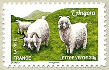 Image du timbre L'angora