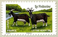 Image du timbre La Poitevine