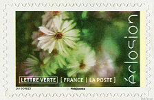 Image du timbre L'échinacée