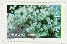 Image du timbre Le gypsophile