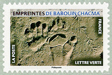 Image du timbre Empreintes de babouin chacma