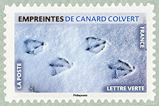 Image du timbre Empreintes de canard colvert