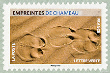 Image du timbre Empreintes de chameau