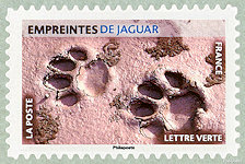 Image du timbre Empreintes de jaguar