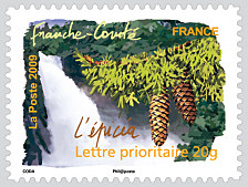 Image du timbre Franche-Comté - L'épicéa