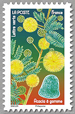 Image du timbre Acacia à gomme