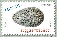 Image du timbre Corneille noire