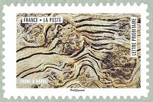 Image du timbre Tronc d'arbre