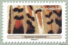 Image du timbre Agatasa calydonia