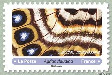 Image du timbre Agrias claudina