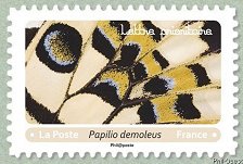 Image du timbre Papilio demoleus
