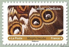Image du timbre Morpho hecuba