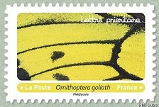 Image du timbre Ornithoptera goliath
