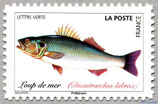 Image du timbre Loup de mer Dicentrarchus labrax