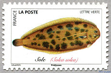 Image du timbre Sole Solea solea