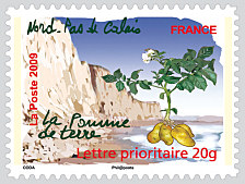 Image du timbre Nord-Pas-de-Calais - La pomme de terre