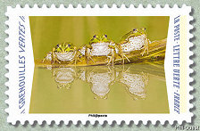 Image du timbre Grenouilles vertes